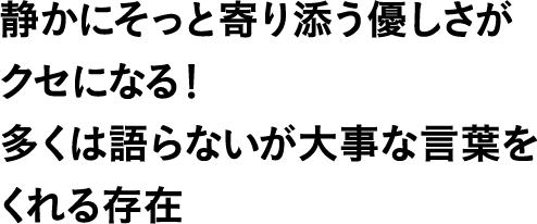 静かにそっと寄り添う優しさがクセになる！多くは語らないが大事な言葉をくれる存在