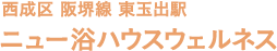 西成区 阪堺線 東玉出駅 ニュー浴ハウス ウェルネス