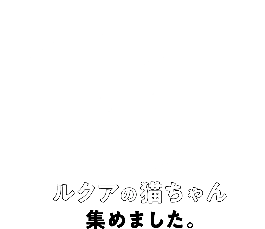 ルクアの猫ちゃん集めました。
