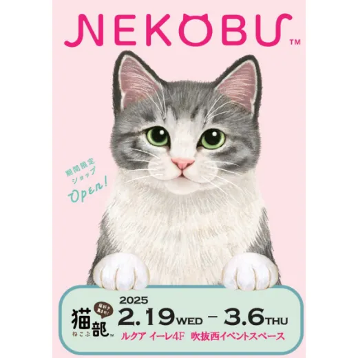 フェリシモ猫部