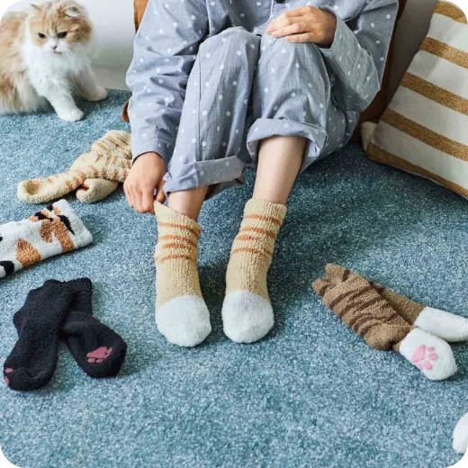 フェリシモ猫部