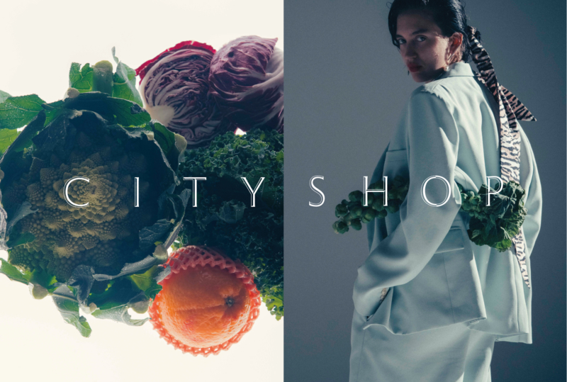 CITYSHOP 2