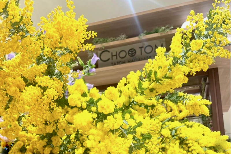 CHOOTOM/SATOH-HANAMISE［isetan Seasonal Selection］ 6