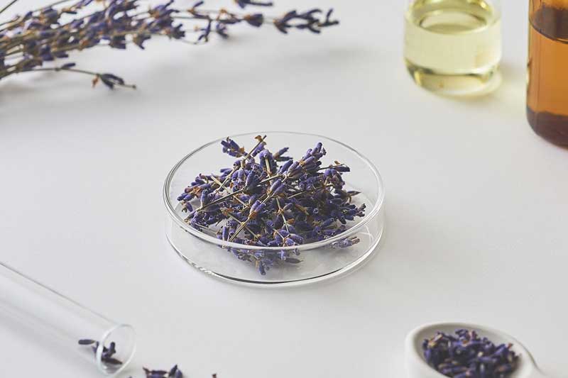 PERFUME OIL FACTORY［isetan Cosmetics］ 9